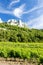vineyards near Gigondas at Col Du Cayron, Provence, France