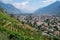 Vineyards near Martigny from a mountain road, Swiss Alps