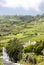 Vineyards next to a mountain