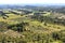 Vineyards and olive groves around french ChÃ¢teau des Baux