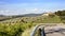 Vineyards and olive groves in Tuscany