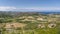 Vineyards and Olive Trees in the Corsican countryside