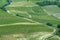 Vineyards in Oltrepo Pavese, italy, at springtime