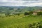 Vineyards in Oltrepo Pavese, italy, at springtime