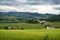 Vineyards in Oltrepo Pavese, italy, at springtime