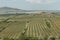 Vineyards, Palava region, South Moravia, Czech Republic.Spring rural landscape of nature with blossoming trees on the green hills.