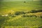 Vineyards, Palava region, South Moravia, Czech Republic. Stone chapel Hradistek.