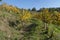 Vineyards in the park of Montevecchia and Curone, Italy, at fall