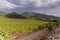 Vineyards of Patrimonio, wine producing area of Corsica, France.