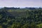 Vineyards on the Pianezzo hillside located in the Municipality of Dogliani Piedmont Italy