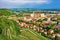 Vineyards on Piramida Hill and cityscape of Maribor, Lower Styria, Slovenia