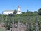 Vineyards in Puente Alto/Maipo valley, Chile