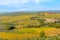 vineyards of Radda in Chianti in Tuscany