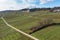 Vineyards of the Rheingau / Germany and the St. Hildegard Abbey from above