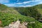 Vineyards of Ribeira Sacra in Galicia, Spain