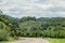 Vineyards in Rio Grande do Sul