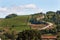 Vineyards in Rio Grande do Sul