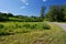 Vineyards in Rio Grande do Sul