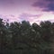 The vineyards with ripe grapes coloring red and orange right before harvesting near Geneva in Switzerland shot with analogue film