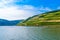 Vineyards and river in Ruedesheim am Rhein Rhine, Rudesheim, Rheingau-Taunus-Kreis, Darmstadt, Hessen, Germany