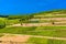 Vineyards and river in Ruedesheim am Rhein Rhine, Rudesheim, Rheingau-Taunus-Kreis, Darmstadt, Hessen, Germany