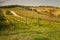 Vineyards on rolling hills