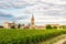 Vineyards of Saint Emilion, Bordeaux, Gironde, France. Medieval church in old town and rows of vine on a grape field