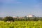 vineyards and Siklos castle, Hungary