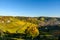 Vineyards at Stuttgart, Uhlbach at the Neckar Valley - beautiful landscape in autum in Germany