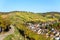 Vineyards at Stuttgart, Uhlbach at the Neckar Valley - beautiful landscape in autum in Germany