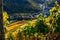 Vineyards in the sunshine with the small town of Rech in the background