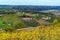 Vineyards surrounding castle Riegersburg, Styria, Austria