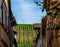 The vineyards surrounding the town of Riquewhir, in Alsace, France, can be seen from its streets