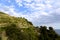 Vineyards on terraced hillside