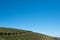 Vineyards at Tokara Wine Estate in the Simonsberg mountains, Stellenbosch, Cape Town, South Africa, taken on a clear day.