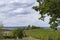 Vineyards with a trullo in the background