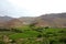 Vineyards used for Pisco in the dry Elqui Valley, Chile