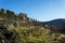 Vineyards in the valley of Vachau