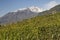 Vineyards in Valtellina