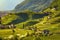Vineyards view in Santa Maddalena Bolzano. Trentino Alto Adige Sud Tyrol, Italy