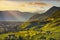 Vineyards view in Santa Maddalena Bolzano. Trentino Alto Adige Sud Tyrol, Italy