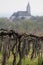 Vineyards and village church at Lake Balaton