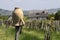 Vineyards and village church at Lake Balaton