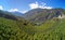 Vineyards in Visperterminen, Switzerland - highest vineyards in Europe