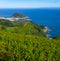 Vineyards and wine production with the Cantabrian sea in the background