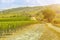 vineyards of winegrowing village of Tuscany