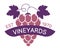 Vineyards winery emblem for alcoholic beverage