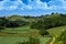 Vineyards and woods on the hill side Monte Dell`Olmo located in the municipality of Vinchio Piemonte Italy