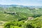 vineyars near Barbaresco, Piedmont, Italy