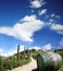 Vineyeard in Chianti, Tuscany, Italy, famous lands